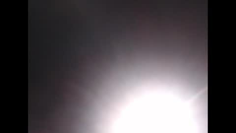 biggybudy online show from December 2024 08:58:02 PM