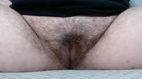 Abby online show from November 2025 04:07:02 PM