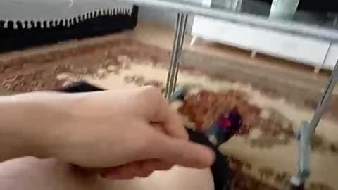 bighardlongdick20cm online show from May 2026 11:37:01 AM