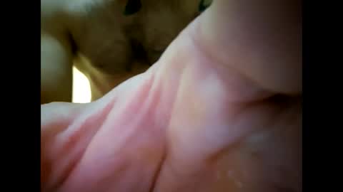 bigjoeyblow online show from November 2025 06:37:02 AM