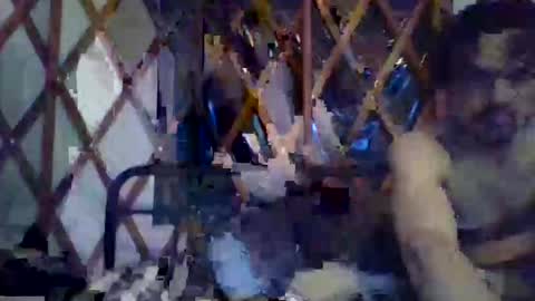 Snapshot of bigkitties69 chatting on May 2026 10:01:01 AM Bigkitties online show from May 2026 10:01:01 AM