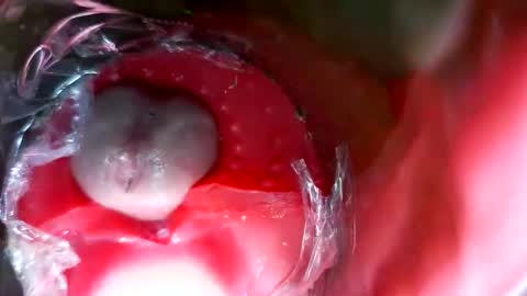 bigmoneycorey online show from March 2026 07:31:02 PM