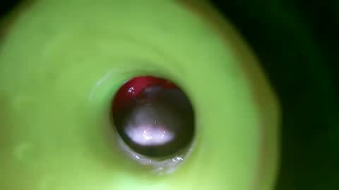 bigmoneycorey online show from April 2026 07:11:02 PM