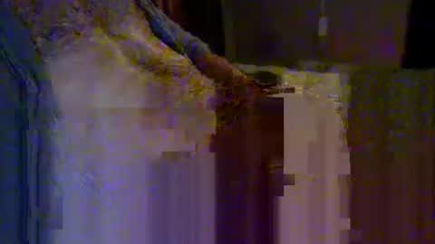 bigrig online show from February 2025 11:24:02 PM