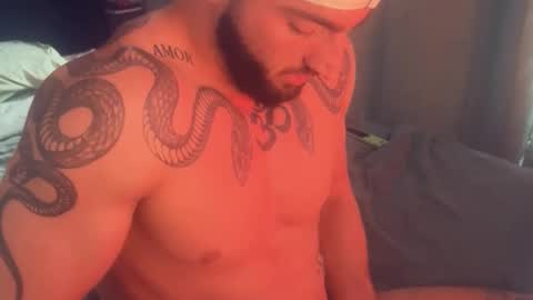 Gogo online show from November 2025 02:18:01 PM