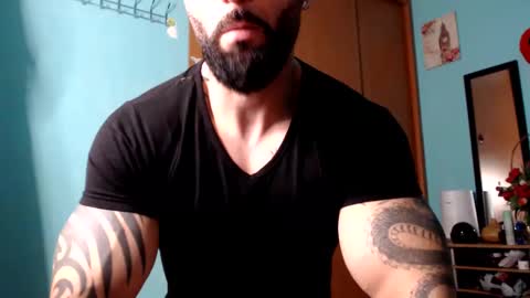 BigStallion online show from December 2024 11:51:01 PM