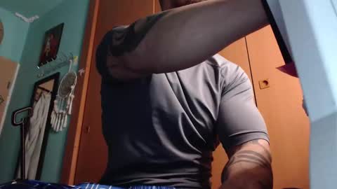 BigStallion online show from February 2026 11:54:01 PM