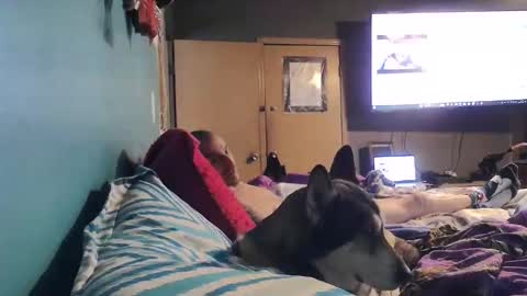 bigtomcat45 online show from December 2024 06:17:02 PM