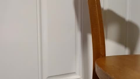 bigtopcircus online show from February 2026 02:56:02 AM