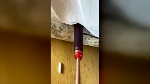 bigukphallus online show from June 2026 12:51:02 PM