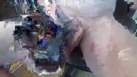 bigukphallus online show from July 2026 10:29:01 AM