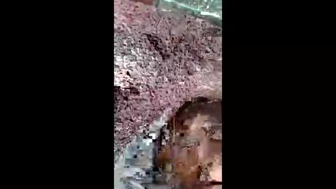 Snapshot of bigwalkdog420 chatting on December 2024 02:56:01 PM bigwalkdog420 online show from December 2024 02:56:01 PM