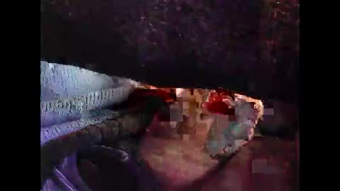 bilco03 online show from October 2025 11:56:02 AM