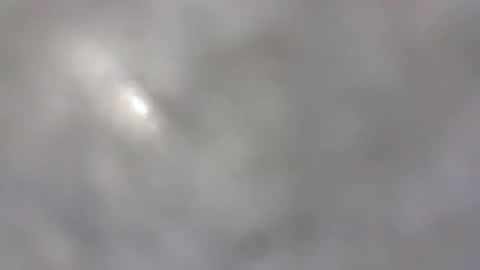 billmenow141 online show from January 2025 08:21:02 AM