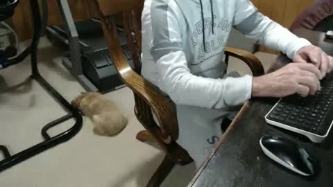 Snapshot of billy471 chatting on January 2025 10:11:02 PM billy471 online show from January 2025 10:11:02 PM