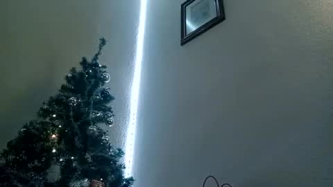 Bill online show from January 2025 10:24:02 AM