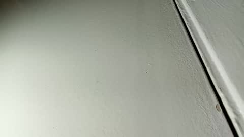 Bill online show from January 2025 07:36:01 AM