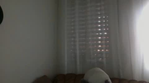 Bill online show from February 2025 07:59:02 AM