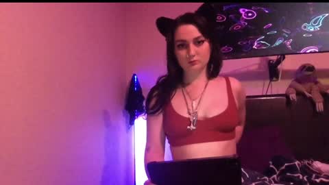 Snapshot of bimbokitten666 chatting on December 2024 04:11:01 AM Danny online show from December 2024 04:11:01 AM