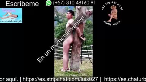 Snapshot of bisexual0007 chatting on September 2025 02:35:01 AM luis027 online show from September 2025 02:35:01 AM