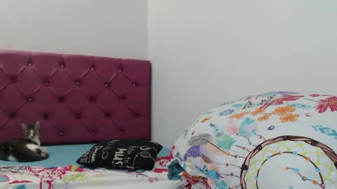Snapshot of bitch_mommy_x chatting on January 2025 12:22:02 PM I am everything. Your highness queen goddess mistress god daddy mommy boss master. you will address me as such online show from January 2025 12:22:02 PM