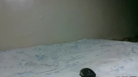 Snapshot of bitchcam_ chatting on November 2025 09:06:01 PM bitchcam_ online show from November 2025 09:06:01 PM