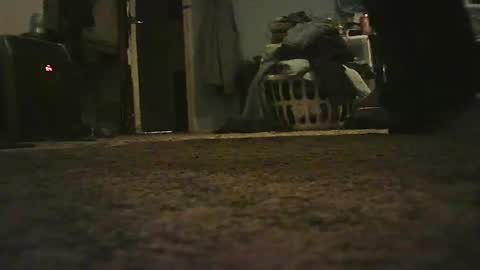 bixbyit online show from December 2024 06:33:01 PM