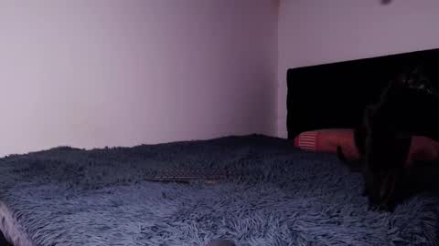 black_firex online show from October 2025 04:59:02 PM