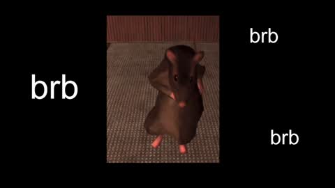  Black Kittie    Wednesday - 1300 - 1900 GMT help me get 100 thumbs up online show from January 2025 01:21:02 PM