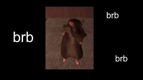  Black Kittie    Wednesday - 1300 - 1900 GMT help me get 100 thumbs up online show from February 2025 11:06:02 AM