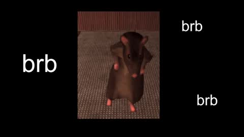  Black Kittie    Wednesday - 1300 - 1900 GMT help me get 100 thumbs up online show from February 2025 02:00:01 PM