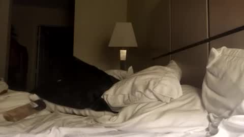 black_mamba2969 online show from November 2025 01:44:02 PM