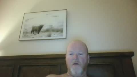black_n_white4 online show from July 2026 11:28:02 AM