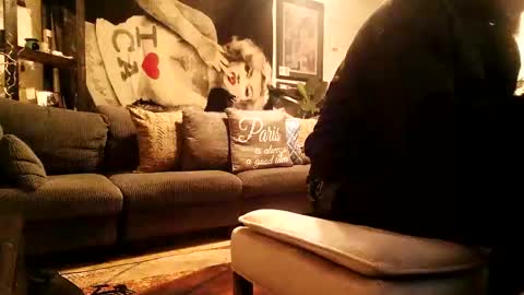 blackriches96 online show from February 2026 03:58:02 AM