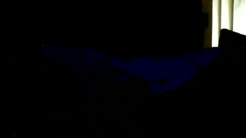 Snapshot of blackriches96 chatting on August 2026 01:47:02 PM blackriches96 online show from August 2026 01:47:02 PM