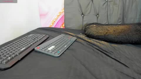 Blair online show from February 2026 12:10:01 PM