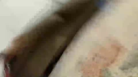 BlakeAndSkylar online show from May 2026 08:21:02 AM