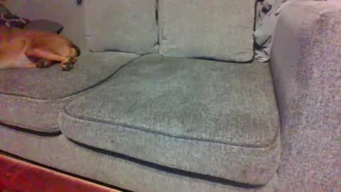 blaw_1321 online show from September 2025 04:50:01 AM