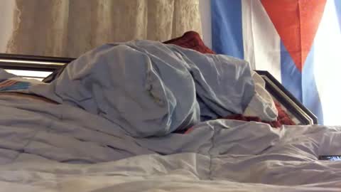 FreshCut online show from February 2025 04:01:01 AM