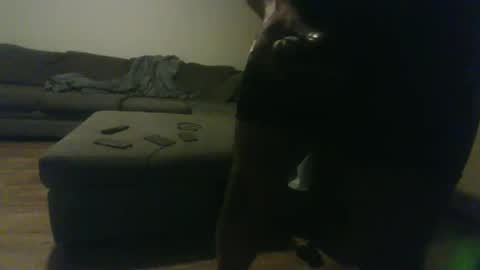 blongd2 online show from January 2026 12:36:02 AM