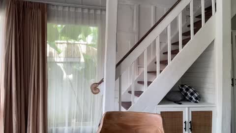 Emma Bloom online show from January 2026 02:17:02 AM