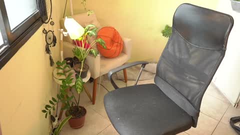 Snapshot of bluemysticlady chatting on January 2025 04:43:01 PM FLORAA online show from January 2025 04:43:01 PM