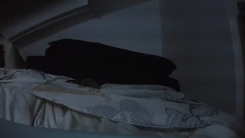 bo22222222 online show from November 2025 08:01:01 PM