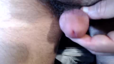 bobswan online show from September 2025 06:53:02 PM