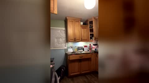 Sailorartemis online show from February 2026 07:56:01 AM