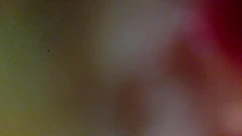 bonershow online show from February 2026 11:36:01 AM