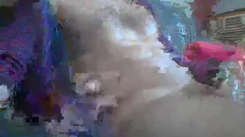 bonnieclyde90 online show from October 2025 10:58:02 AM