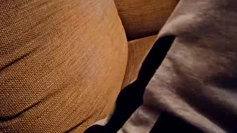 Snapshot of bonny8723 chatting on October 2025 07:25:02 PM bonny8723 online show from October 2025 07:25:02 PM