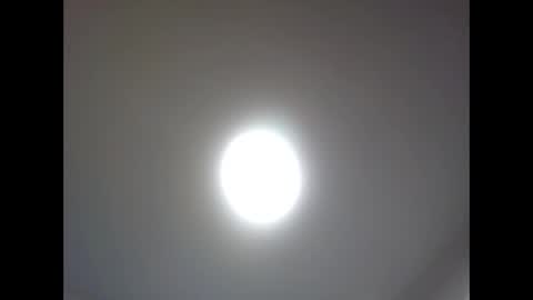 bonop1 online show from April 2026 04:37:02 PM