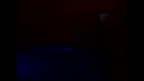 bonzoband online show from March 2026 09:02:02 AM